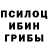 Псилоцибиновые грибы Magic Shrooms Julie Carducci