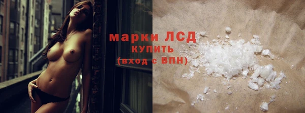 прущие грибы Верхнеуральск