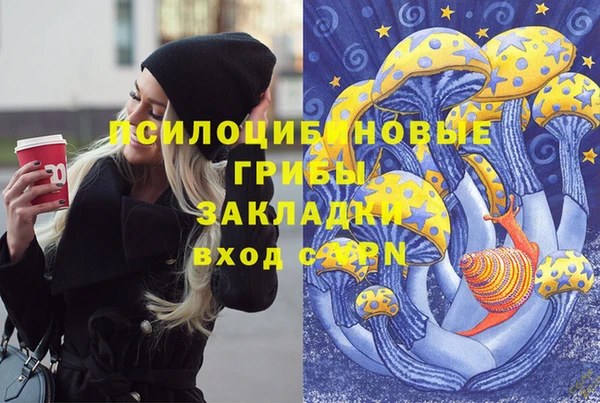 mix Верея