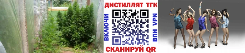 ТГК THC oil  гидра ONION  Дербент 
